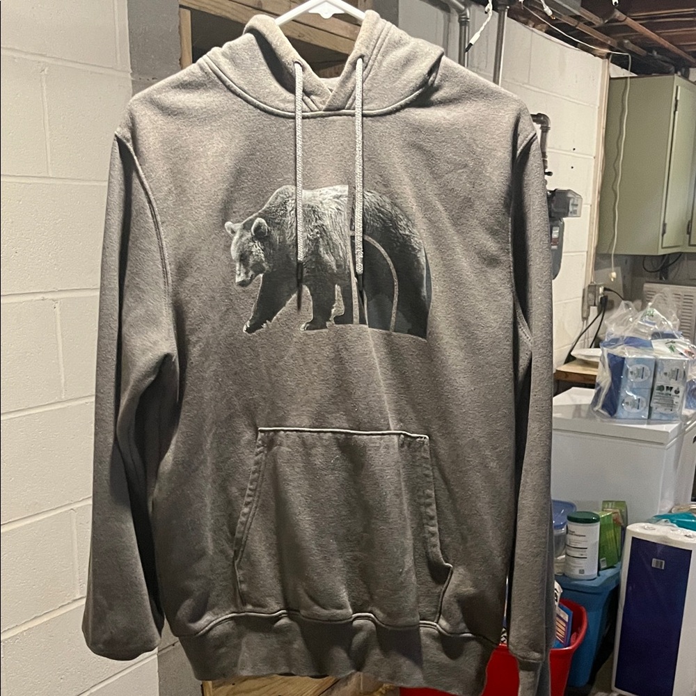The North Face Charcoal Bear Graphic Hoodie